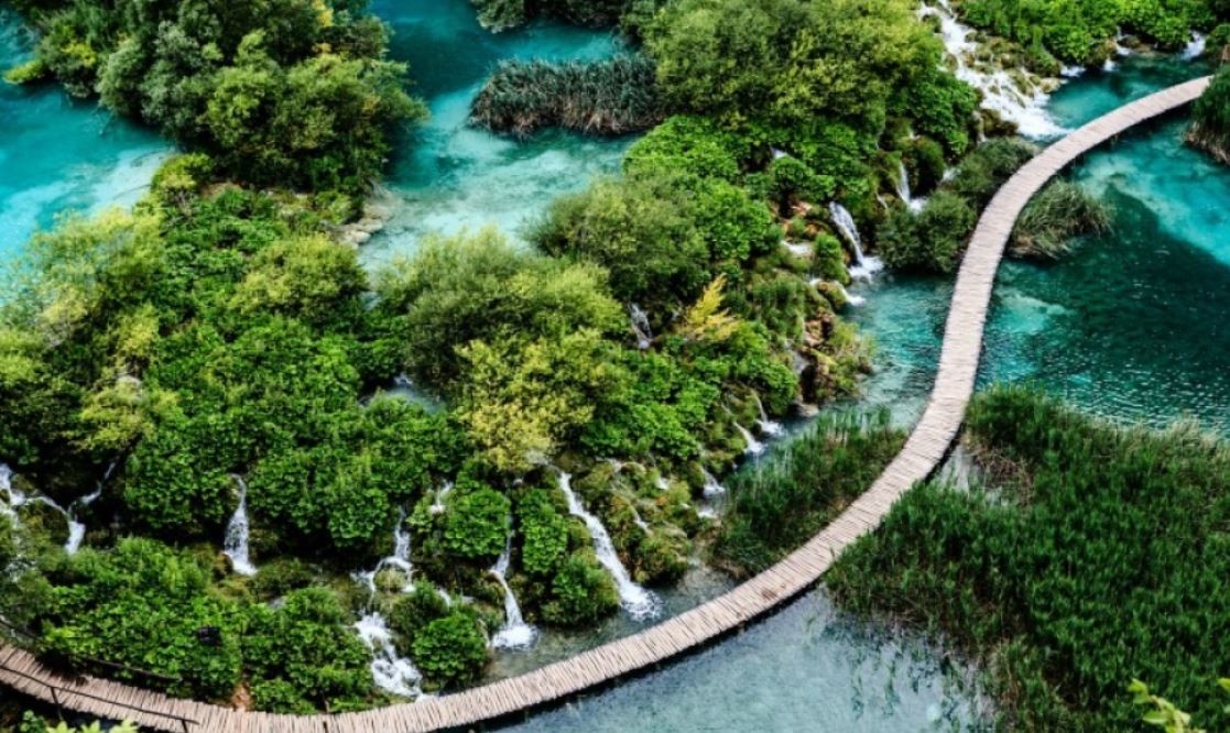 Greenwashing. A watery landscape with trees and little waterfalls with a path meandering through the lake. Vaia Magazine