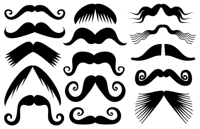 Movember Moustache Styles, Vaia Magazine