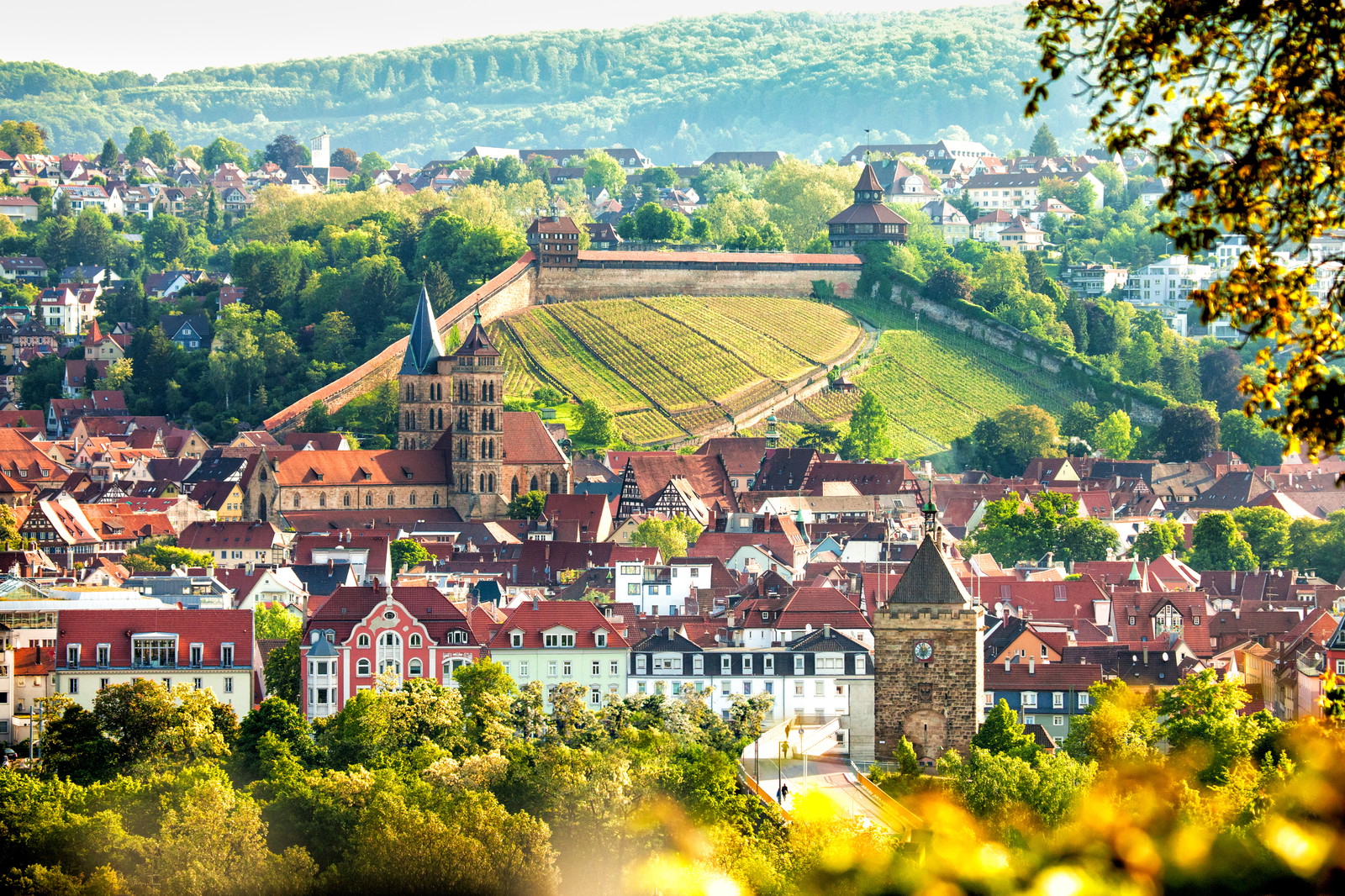 Über die Hochschule Esslingen