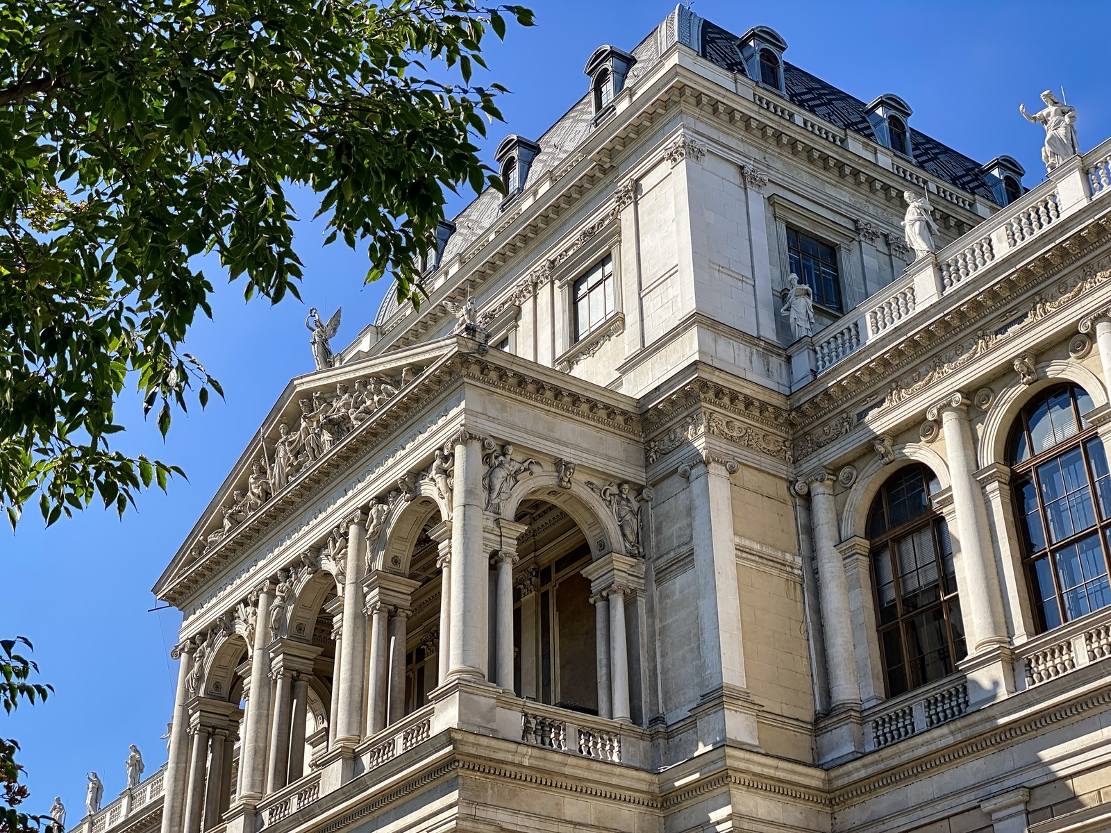 Über die Universität Wien