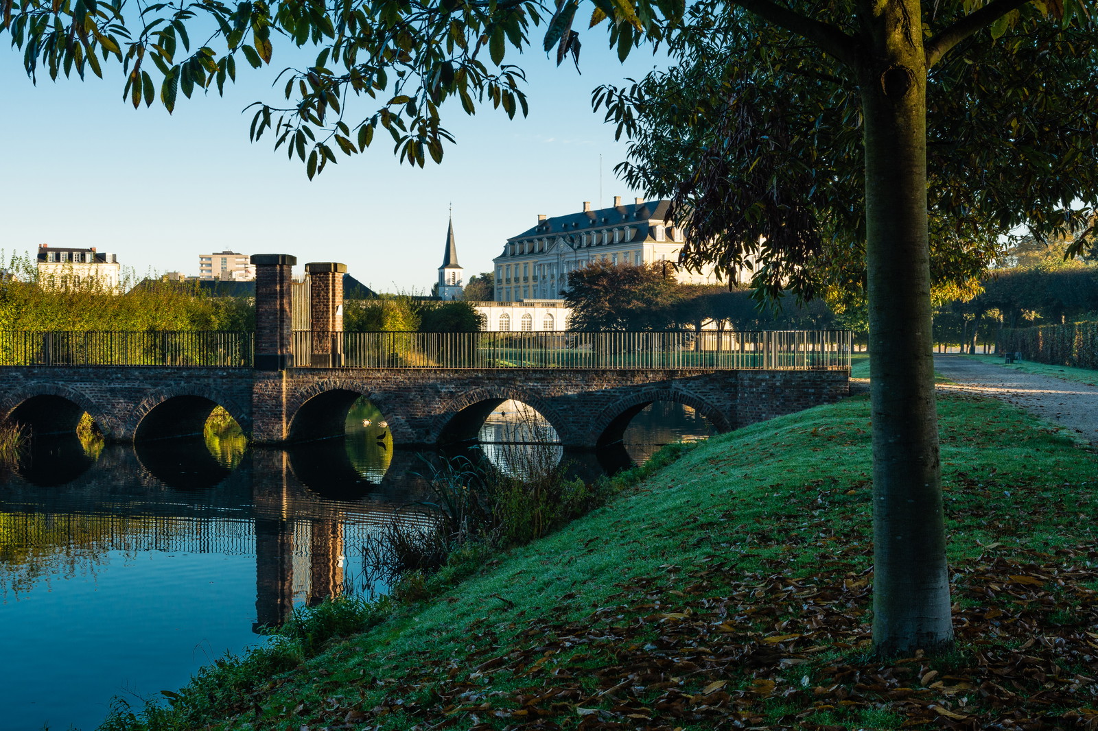 Über die Europäische Fachhochschule Rhein