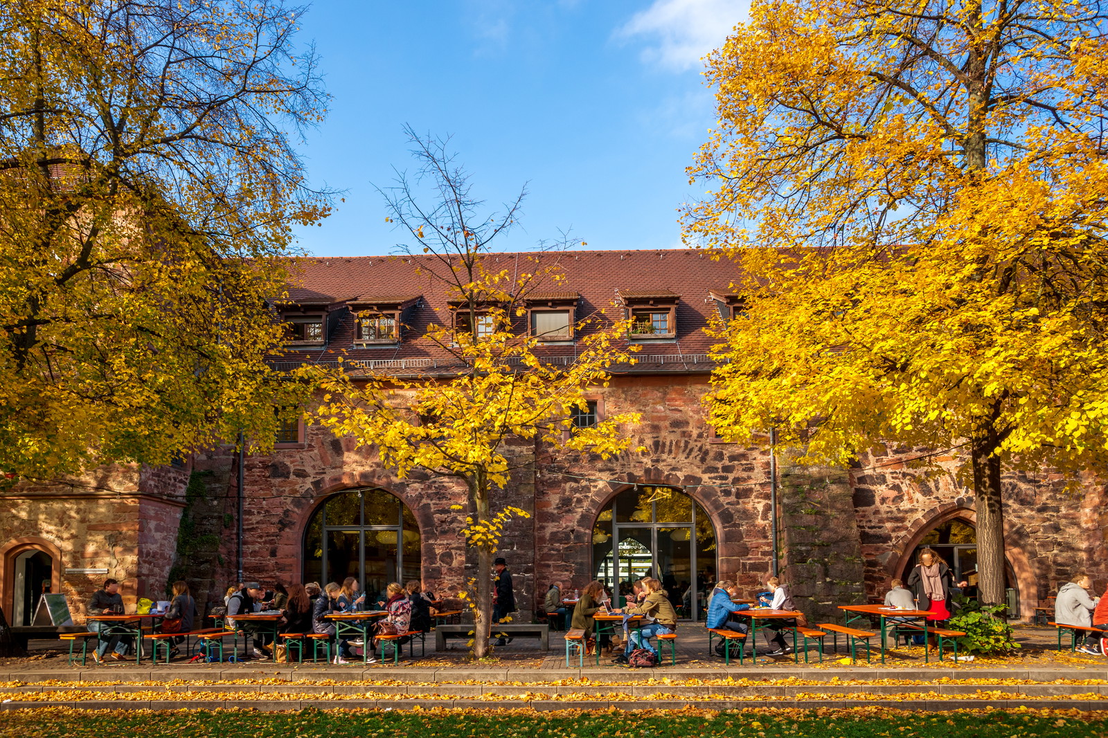 Über die Universität Heidelberg