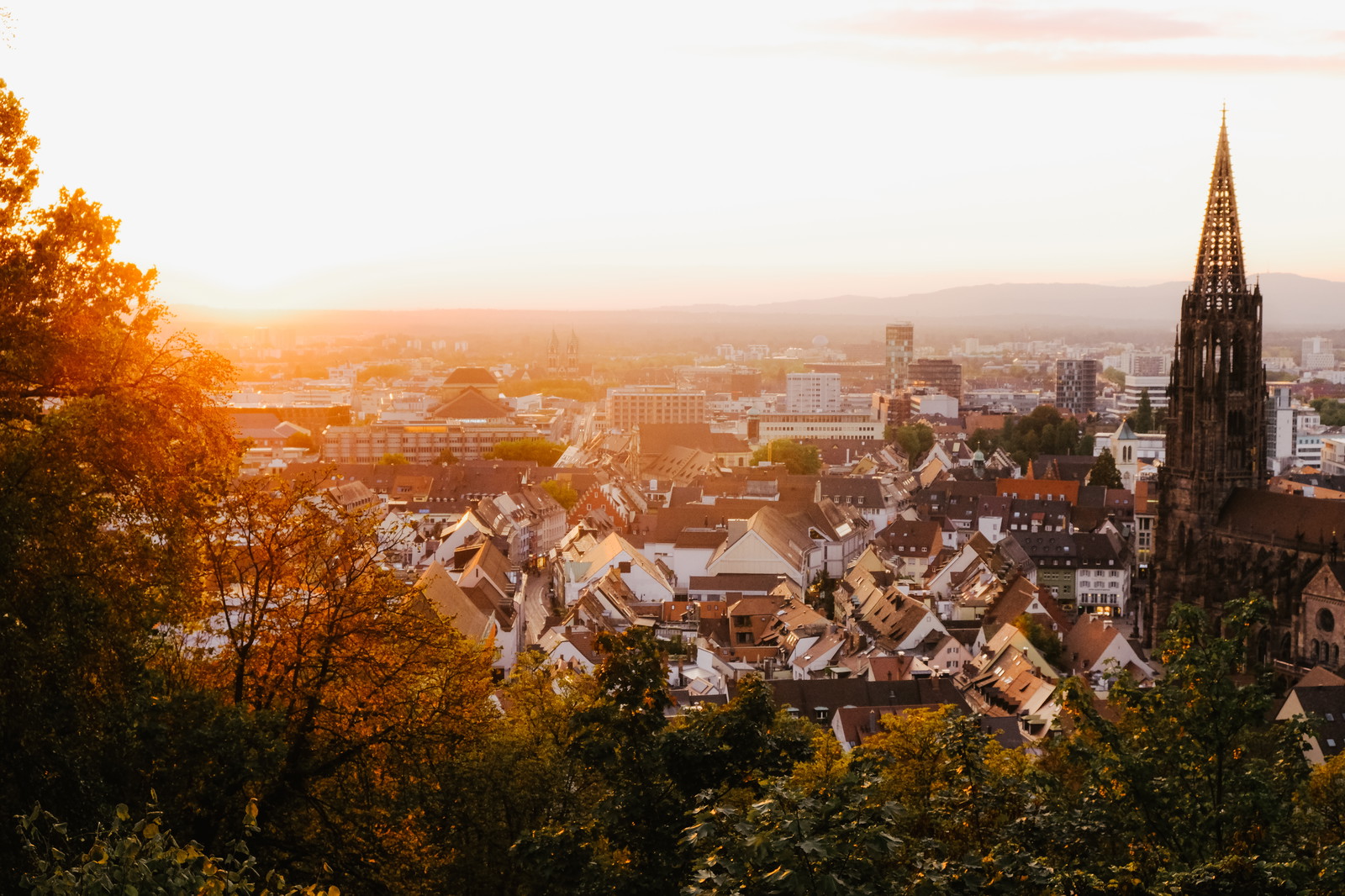 Über die Albert-Ludwigs-Universität Freiburg